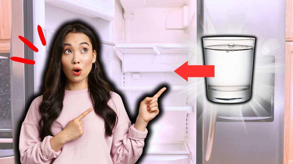 Pourquoi vous devez absolument mettre un verre d