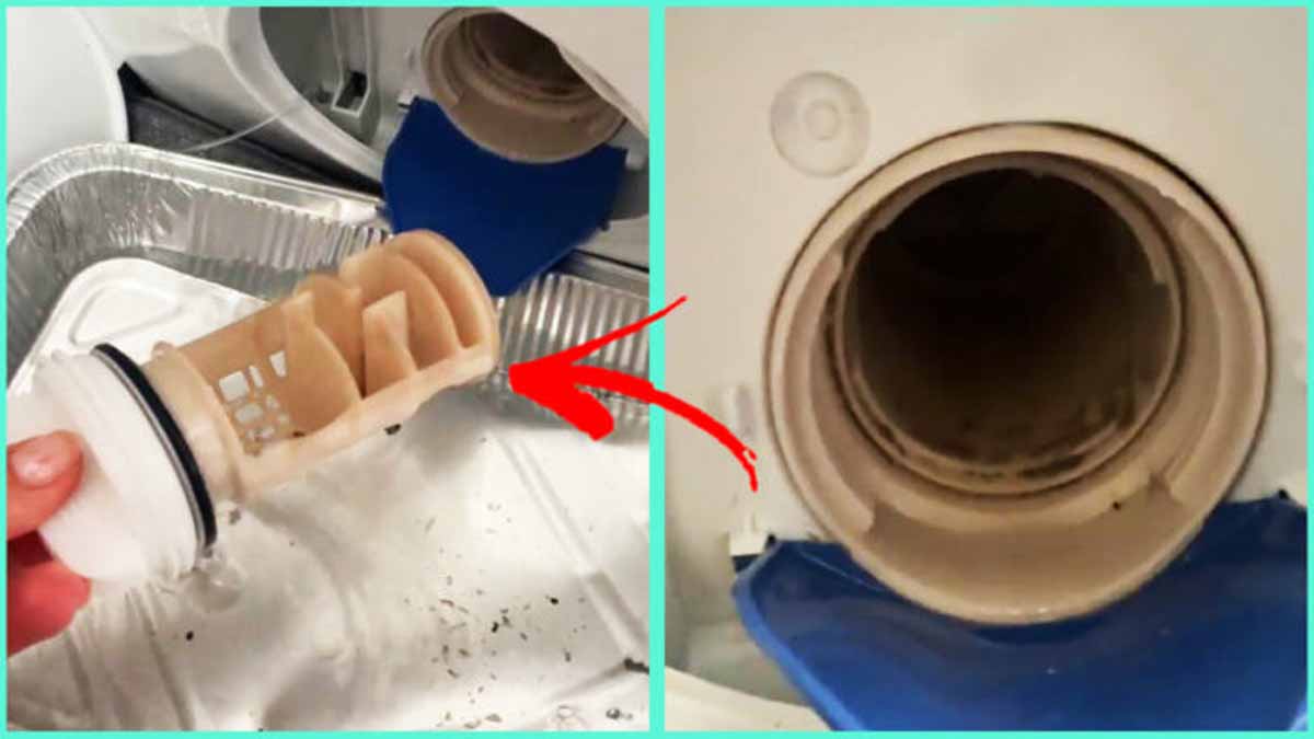 Filtre Du Lave linge L astuce Pour Le Nettoyer filtre-du-lave-linge-l-astuce-pour-le-nettoyer