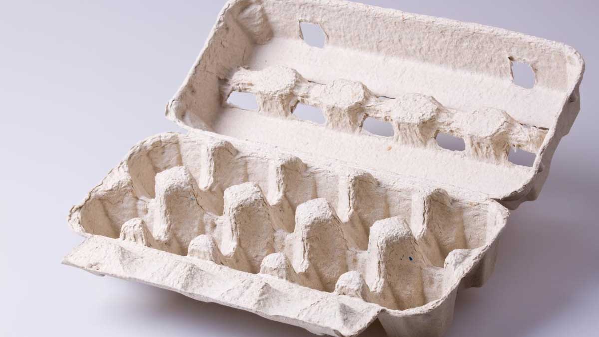 Boîte à œufs en carton feu vert sur le recyclage